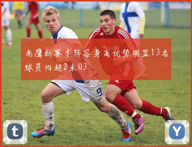 老鹰新赛季阵容身高优势明显13名球员均超2米03